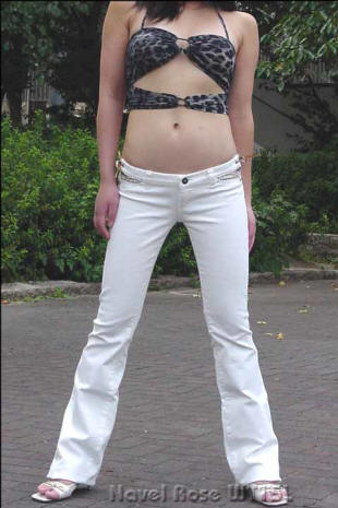 X[p[[CY@Navel Rose WT15L